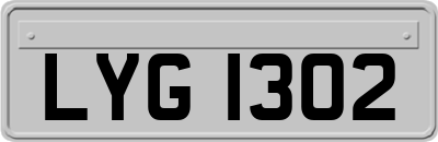 LYG1302