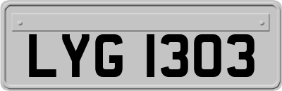 LYG1303