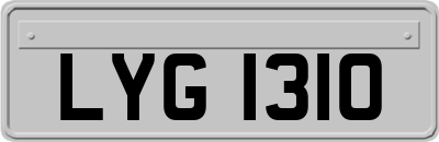 LYG1310