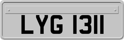 LYG1311