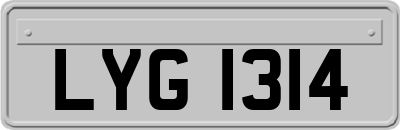 LYG1314