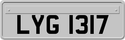 LYG1317