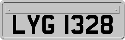 LYG1328