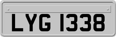 LYG1338