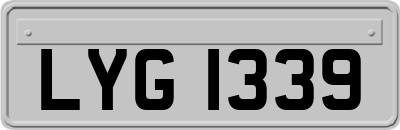 LYG1339