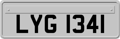 LYG1341