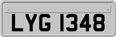 LYG1348