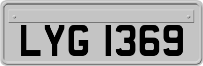 LYG1369
