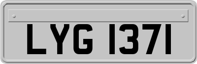 LYG1371