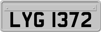 LYG1372