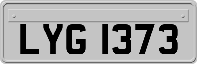 LYG1373