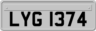LYG1374