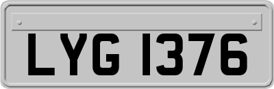 LYG1376