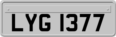 LYG1377