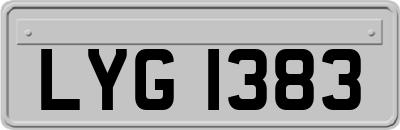 LYG1383