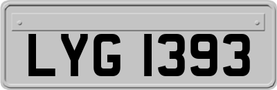 LYG1393
