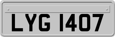 LYG1407