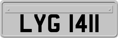 LYG1411