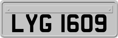 LYG1609