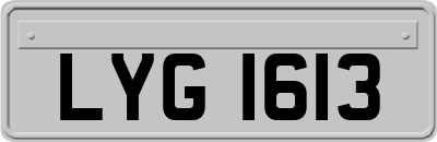 LYG1613