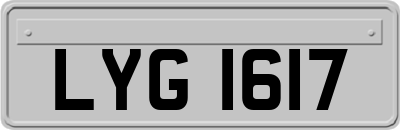 LYG1617