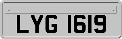 LYG1619