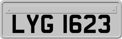 LYG1623