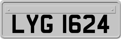 LYG1624