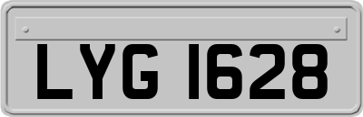 LYG1628