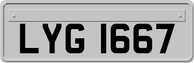 LYG1667