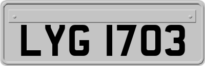 LYG1703