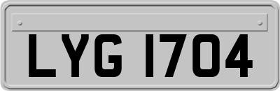 LYG1704