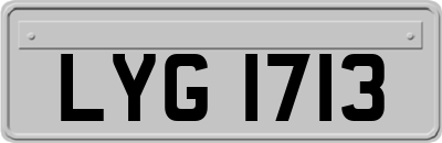 LYG1713