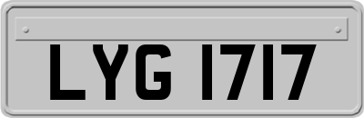 LYG1717