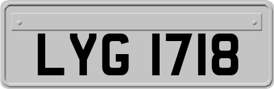 LYG1718