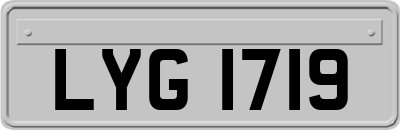 LYG1719