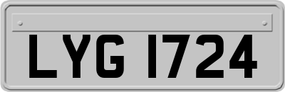 LYG1724