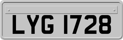 LYG1728