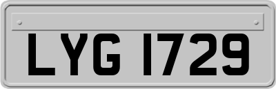 LYG1729