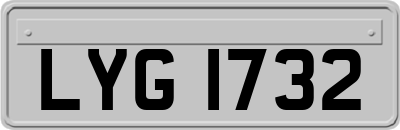 LYG1732