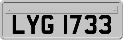 LYG1733