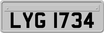 LYG1734