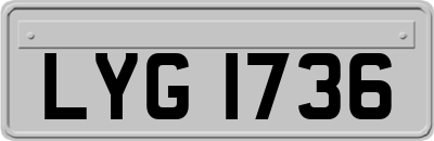 LYG1736