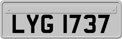 LYG1737