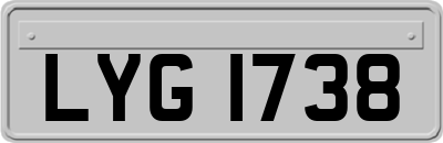 LYG1738
