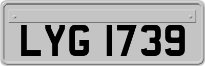 LYG1739