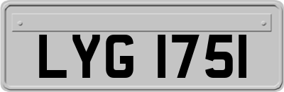 LYG1751