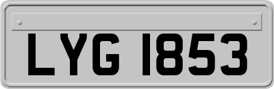 LYG1853
