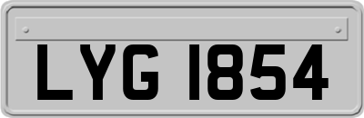 LYG1854