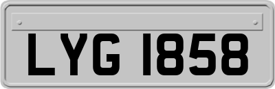 LYG1858